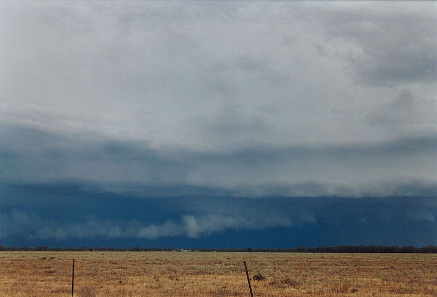 shelfcloud shelf_cloud : 20km W of Nyngan, NSW   7 December 2004