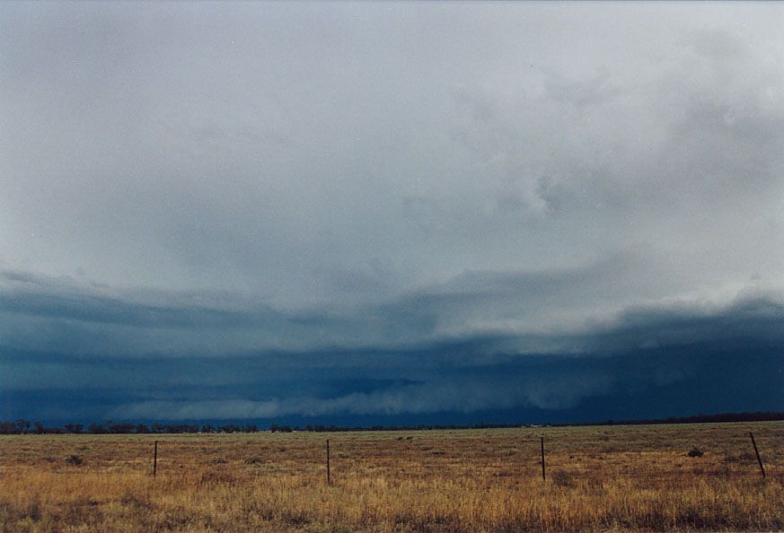 cumulonimbus supercell_thunderstorm : 20km W of Nyngan, NSW   7 December 2004