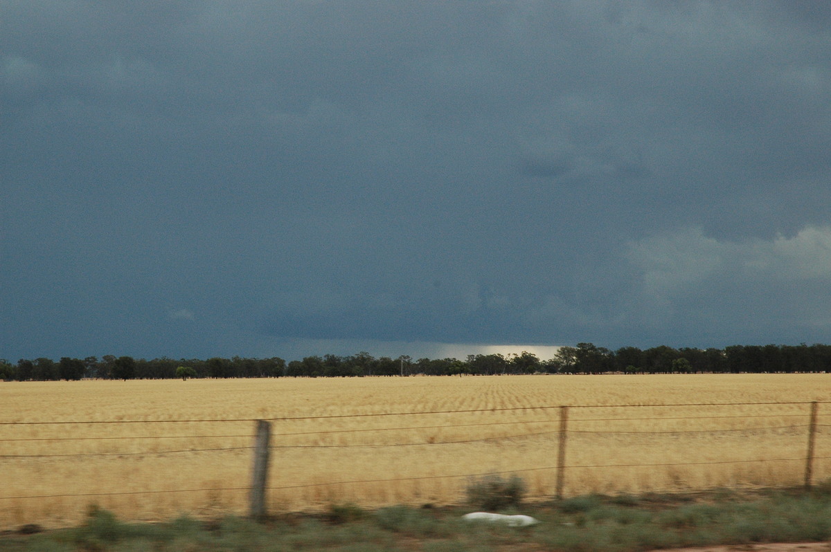 cumulonimbus thunderstorm_base : E of Quambone, NSW   7 December 2004