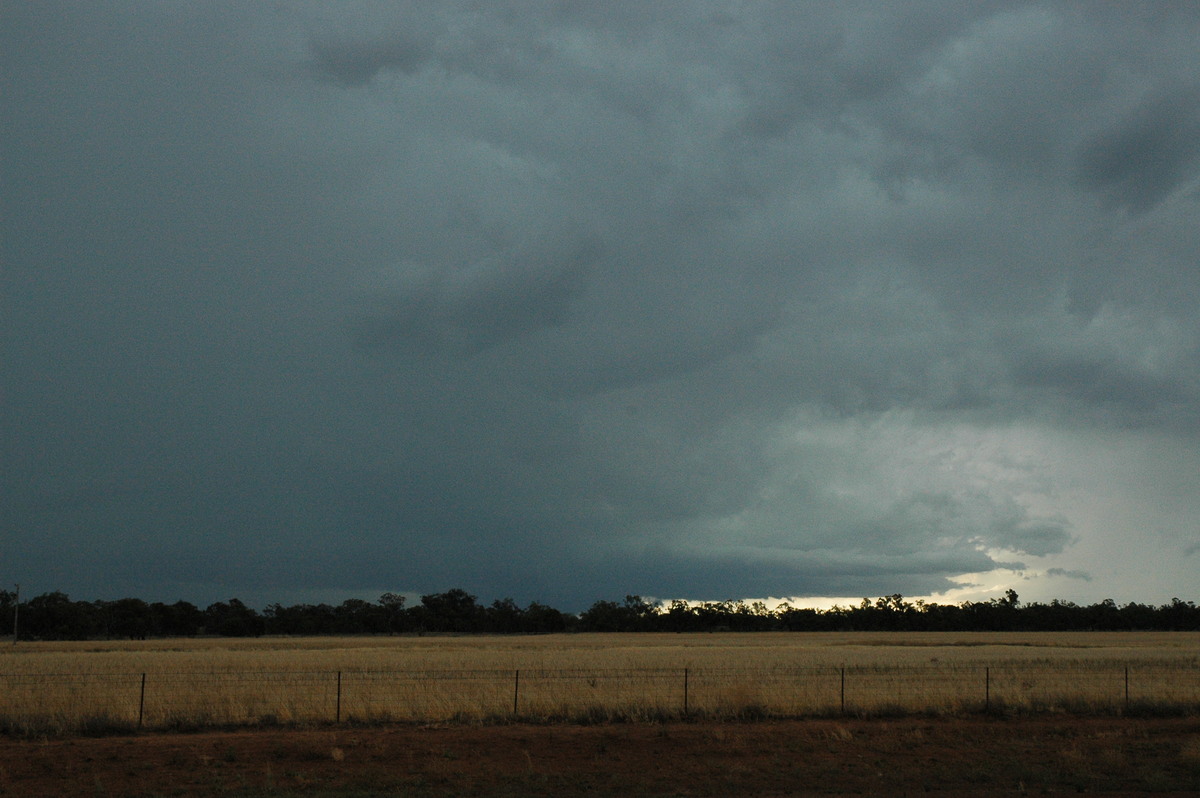 cumulonimbus thunderstorm_base : Quambone, NSW   7 December 2004