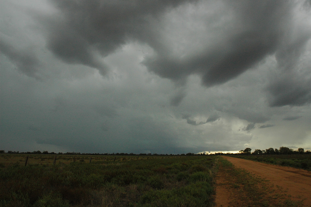 cumulonimbus thunderstorm_base : Quambone, NSW   7 December 2004