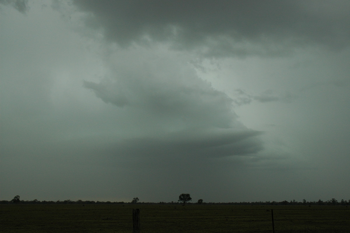 cumulonimbus thunderstorm_base : Quambone, NSW   7 December 2004