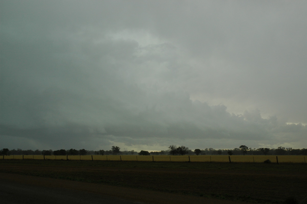 cumulonimbus thunderstorm_base : Quambone, NSW   7 December 2004