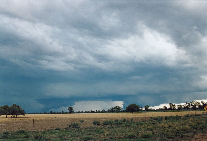 cumulonimbus thunderstorm_base : 40km SW of Walgett, NSW   8 December 2004