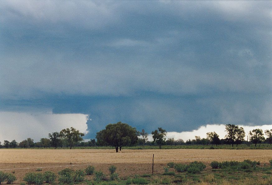 cumulonimbus thunderstorm_base : 40km SW of Walgett, NSW   8 December 2004