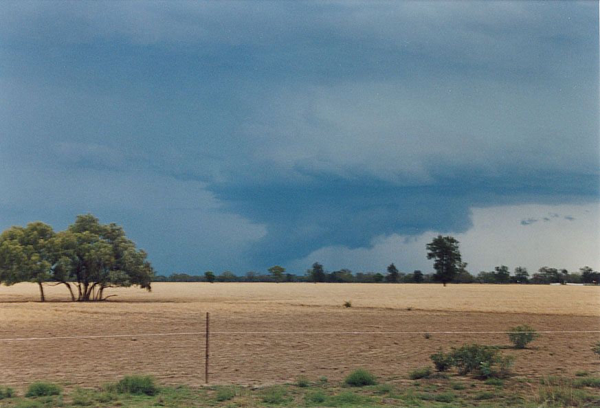 cumulonimbus thunderstorm_base : 40km SW of Walgett, NSW   8 December 2004