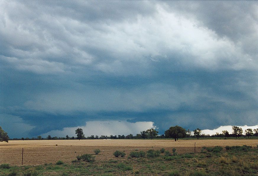 cumulonimbus thunderstorm_base : 40km SW of Walgett, NSW   8 December 2004