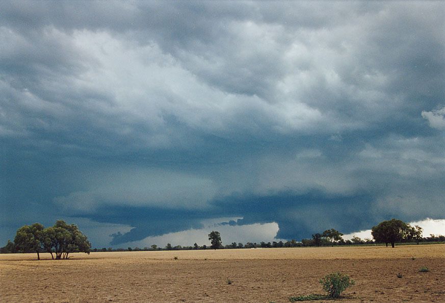 cumulonimbus thunderstorm_base : 40km SW of Walgett, NSW   8 December 2004