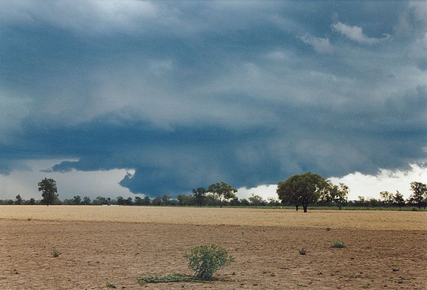 cumulonimbus supercell_thunderstorm : 40km SW of Walgett, NSW   8 December 2004