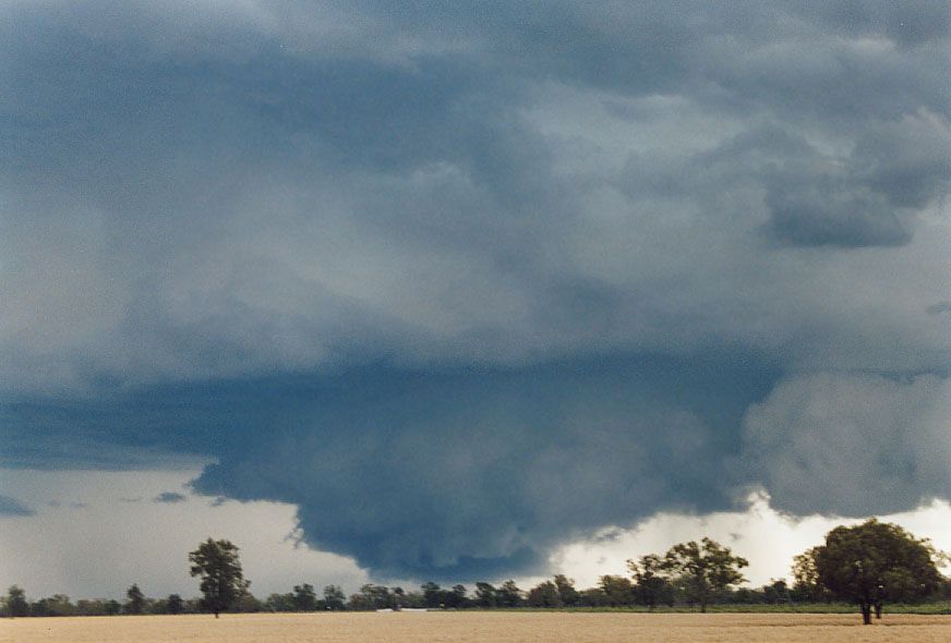 cumulonimbus thunderstorm_base : 40km SW of Walgett, NSW   8 December 2004