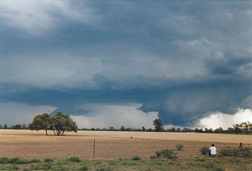 cumulonimbus supercell_thunderstorm : 40km SW of Walgett, NSW   8 December 2004