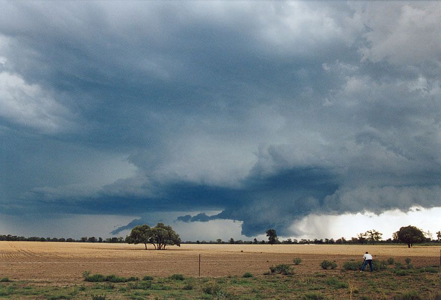 cumulonimbus supercell_thunderstorm : 40km SW of Walgett, NSW   8 December 2004