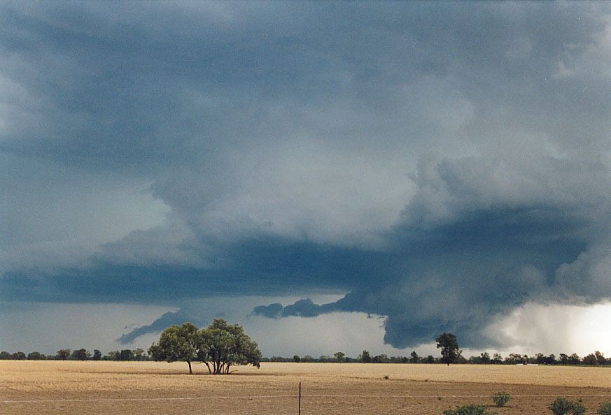 cumulonimbus supercell_thunderstorm : 40km SW of Walgett, NSW   8 December 2004