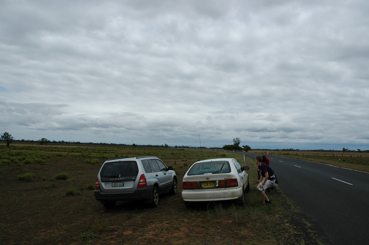 stratocumulus stratocumulus_cloud : near Coonamble, NSW   8 December 2004