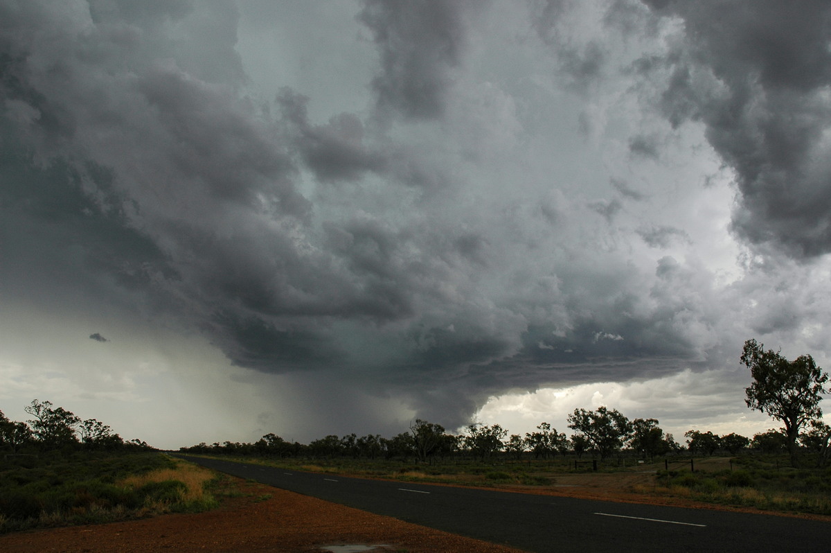 cumulonimbus thunderstorm_base : W of Walgett, NSW   8 December 2004