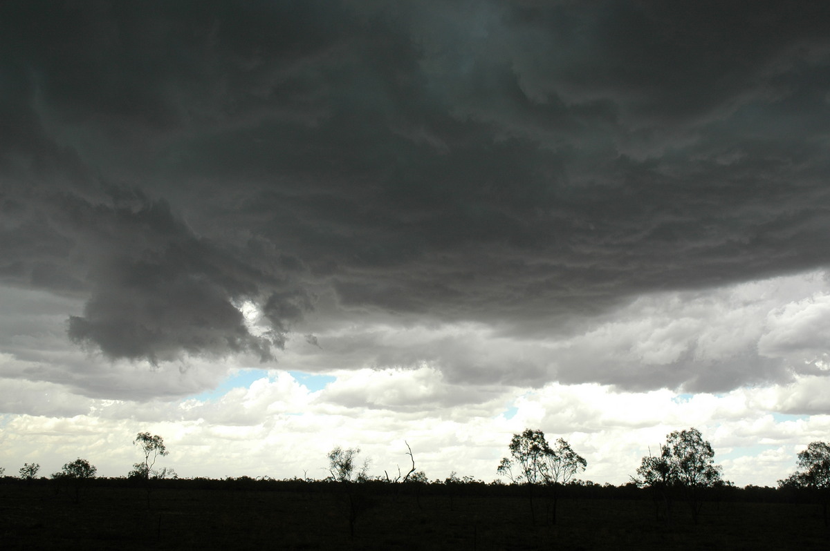 cumulonimbus thunderstorm_base : W of Walgett, NSW   8 December 2004