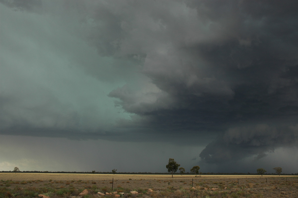 cumulonimbus thunderstorm_base : W of Walgett, NSW   8 December 2004