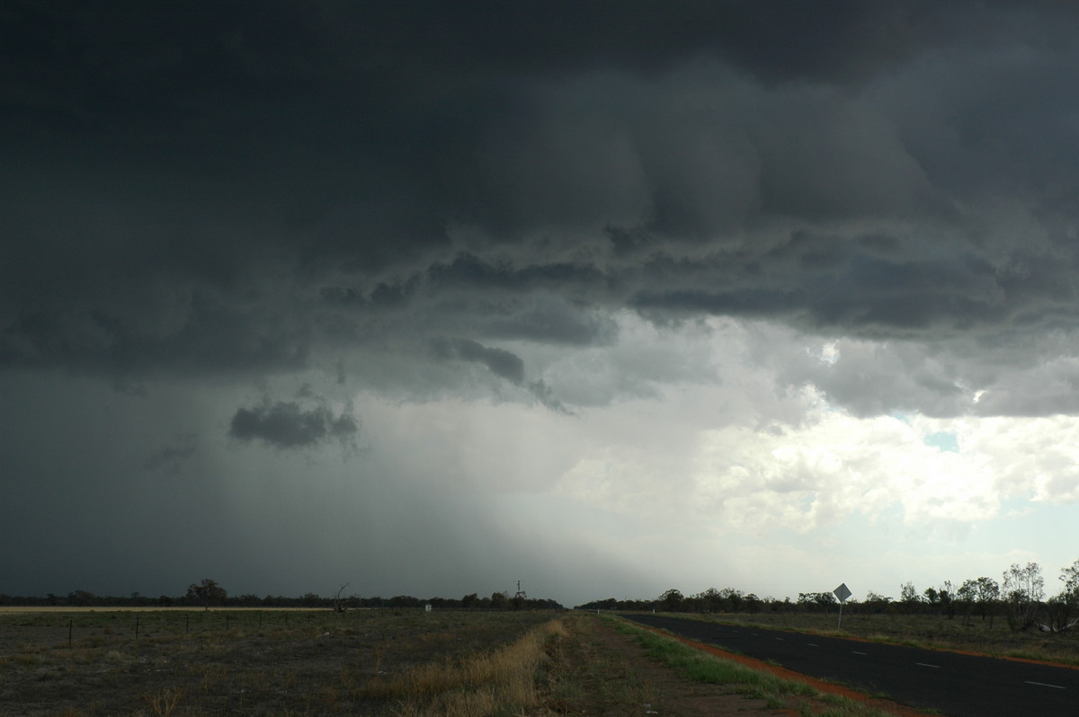 cumulonimbus thunderstorm_base : W of Walgett, NSW   8 December 2004