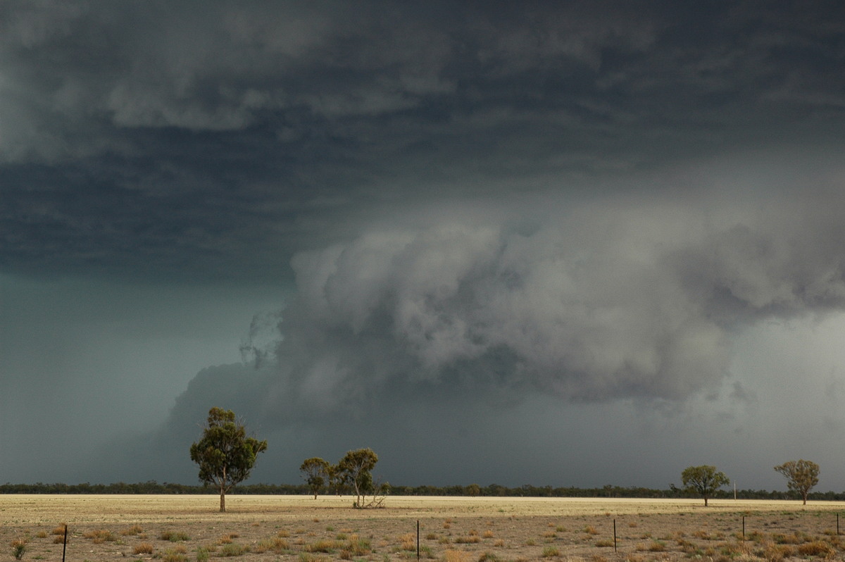 cumulonimbus thunderstorm_base : W of Walgett, NSW   8 December 2004