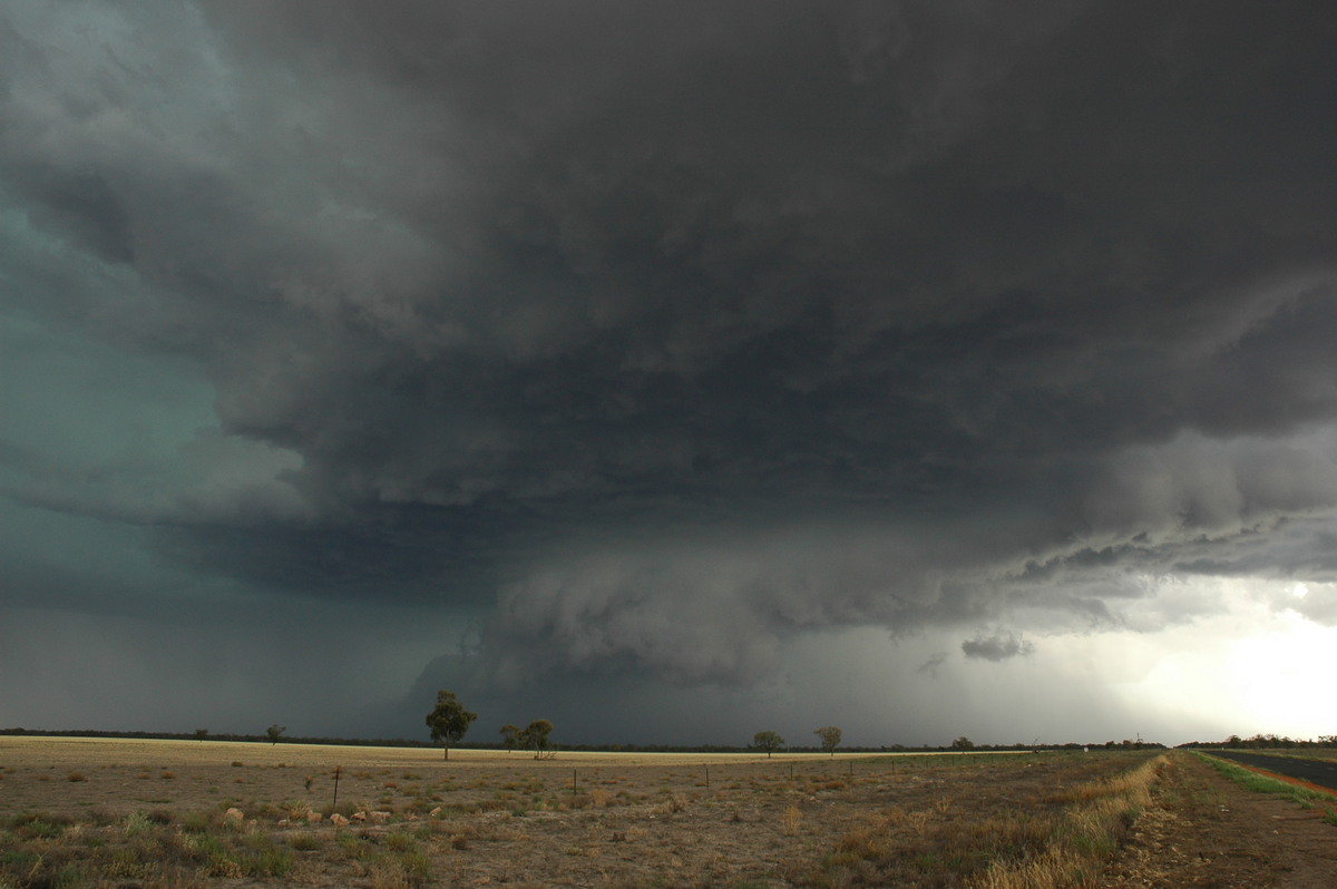 cumulonimbus supercell_thunderstorm : W of Walgett, NSW   8 December 2004