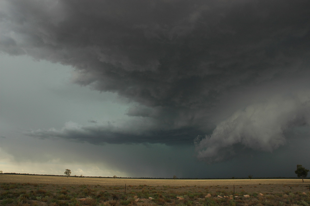 cumulonimbus supercell_thunderstorm : W of Walgett, NSW   8 December 2004