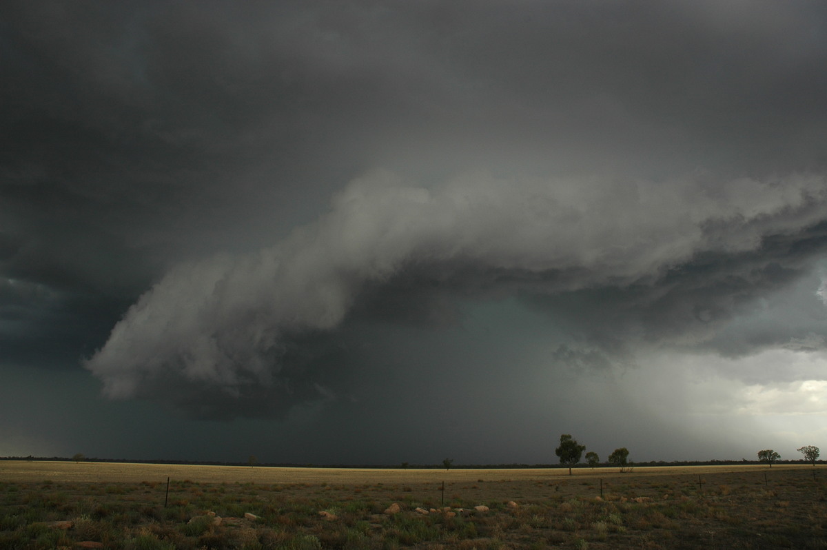 cumulonimbus thunderstorm_base : W of Walgett, NSW   8 December 2004