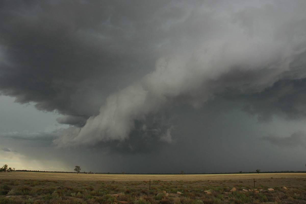 cumulonimbus thunderstorm_base : W of Walgett, NSW   8 December 2004