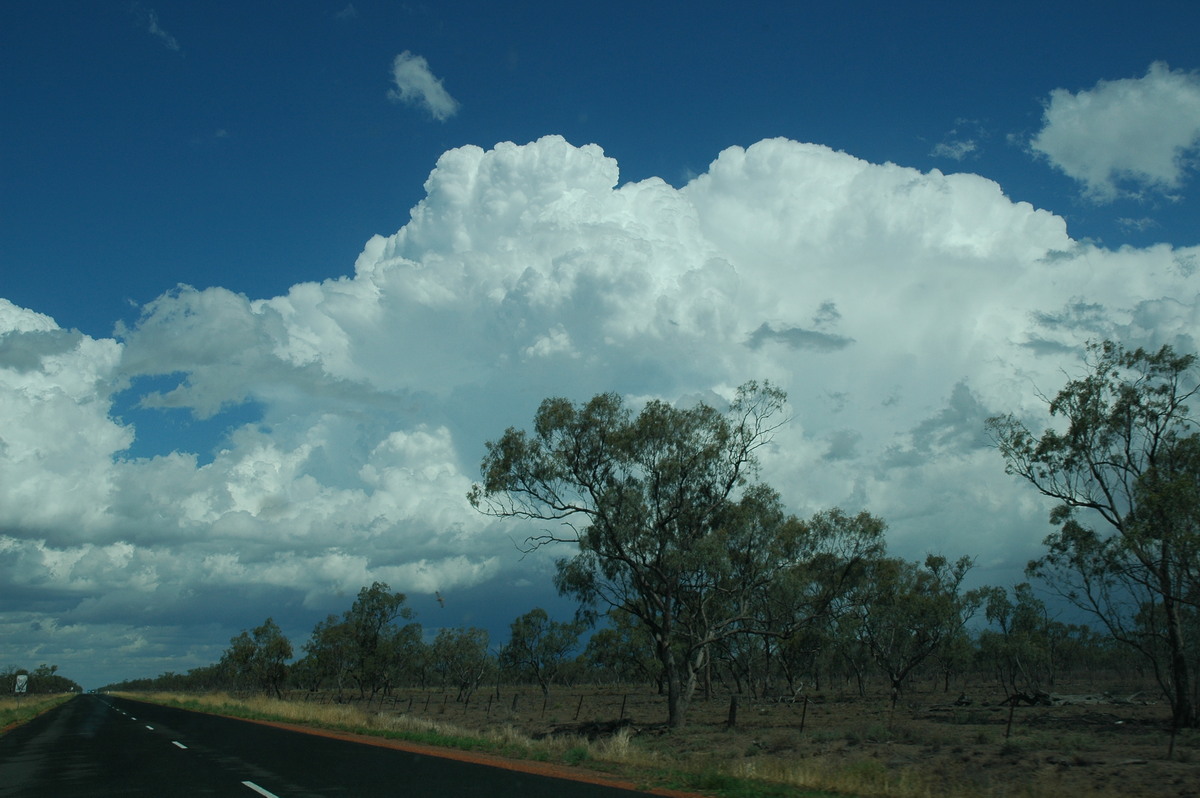 cumulonimbus supercell_thunderstorm : W of Walgett, NSW   8 December 2004