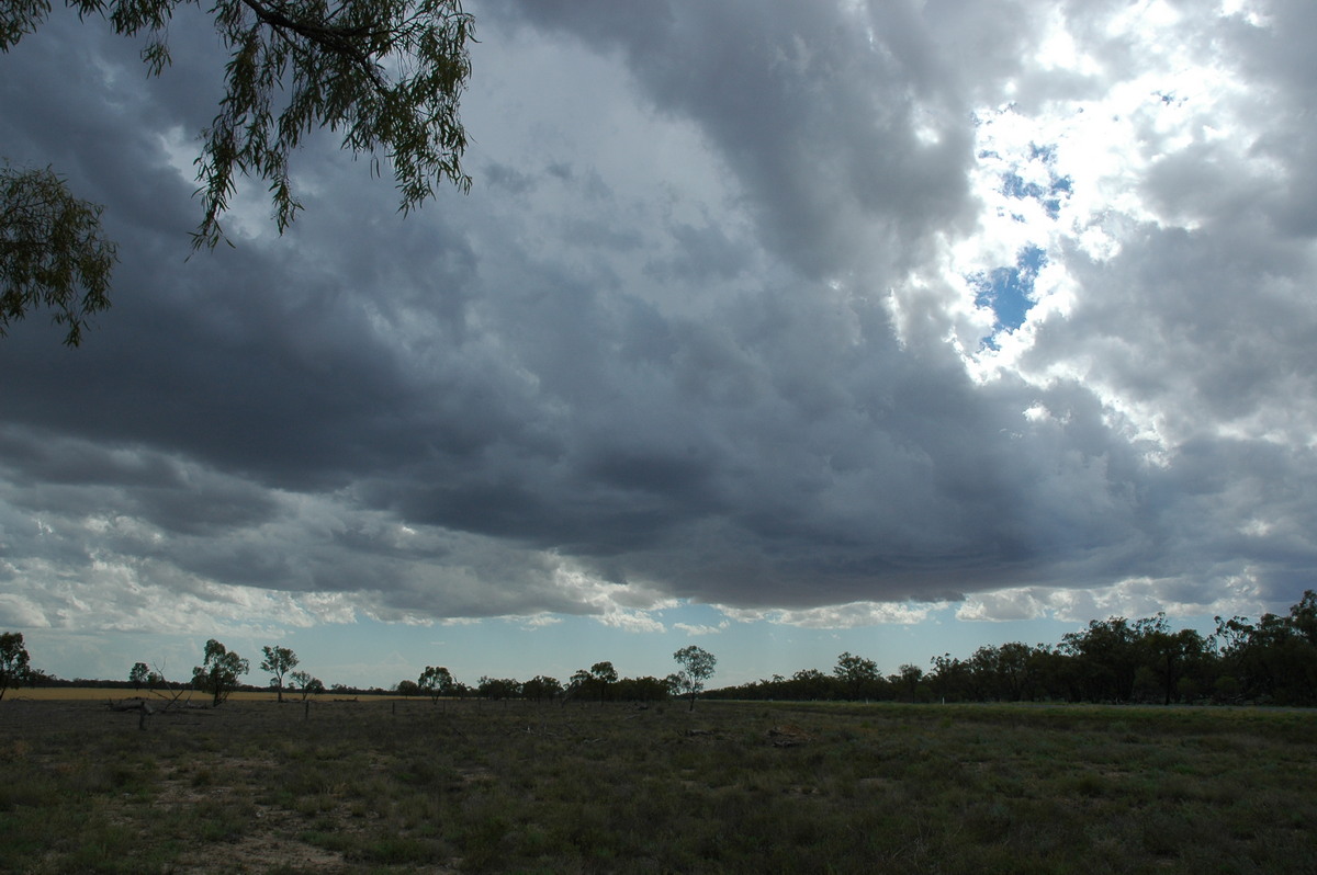 cumulonimbus thunderstorm_base : W of Walgett, NSW   8 December 2004