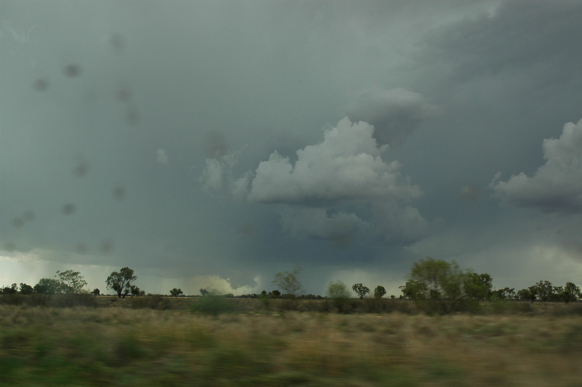 cumulonimbus thunderstorm_base : W of Walgett, NSW   8 December 2004