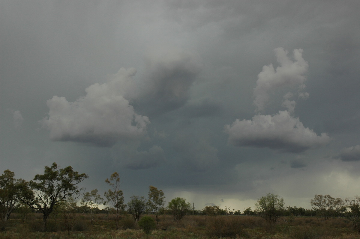 cumulonimbus thunderstorm_base : W of Walgett, NSW   8 December 2004