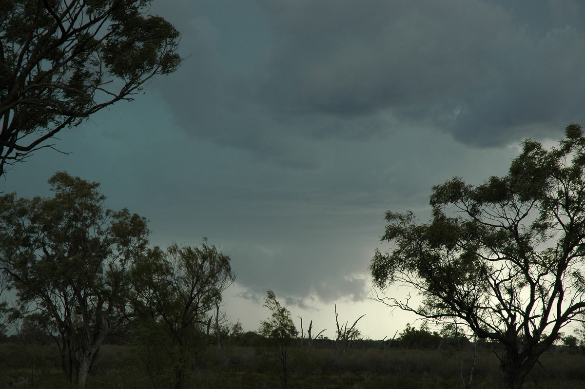 cumulonimbus thunderstorm_base : W of Walgett, NSW   8 December 2004