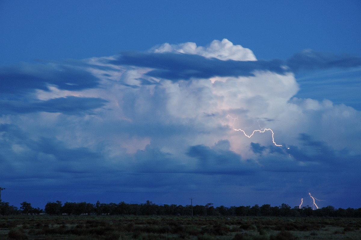 favourites michael_bath : Coonamble, NSW   8 December 2004