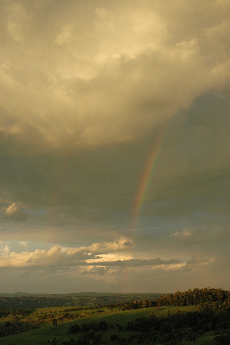 rainbow rainbow_pictures : McLeans Ridges, NSW   12 December 2004