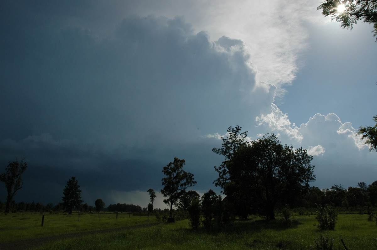 updraft thunderstorm_updrafts : near Whiporie, NSW   19 December 2004