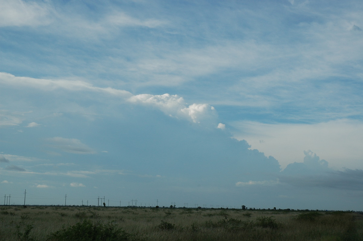 cirrus cirrus_cloud : S of Moree, NSW   27 December 2004