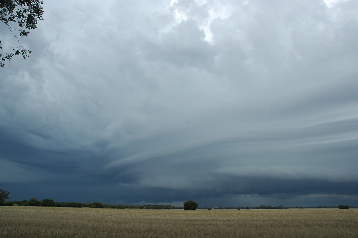 cumulonimbus supercell_thunderstorm : N of Narrabri, NSW   27 December 2004