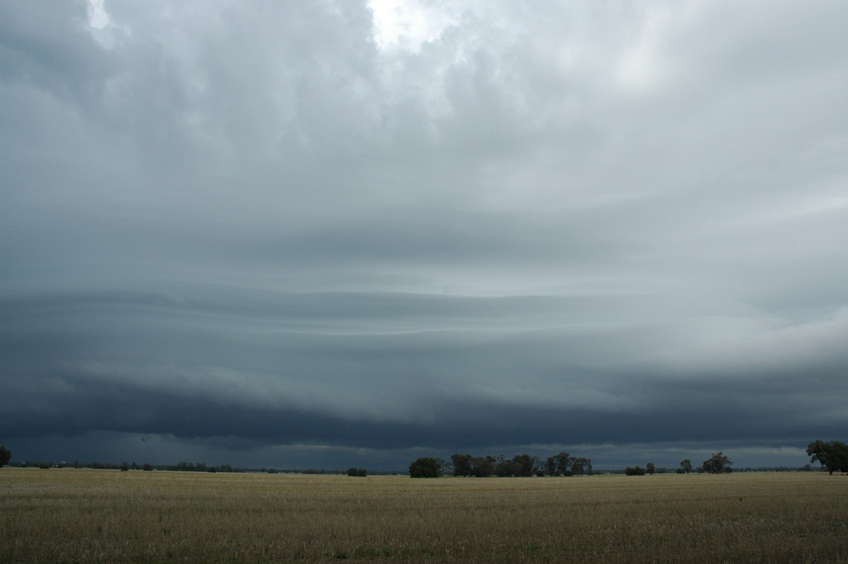 cumulonimbus thunderstorm_base : N of Narrabri, NSW   27 December 2004