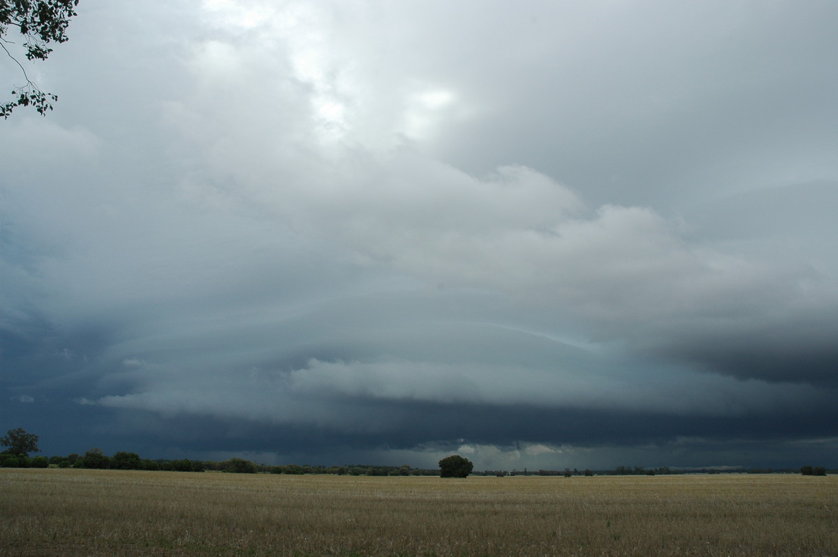 cumulonimbus supercell_thunderstorm : N of Narrabri, NSW   27 December 2004