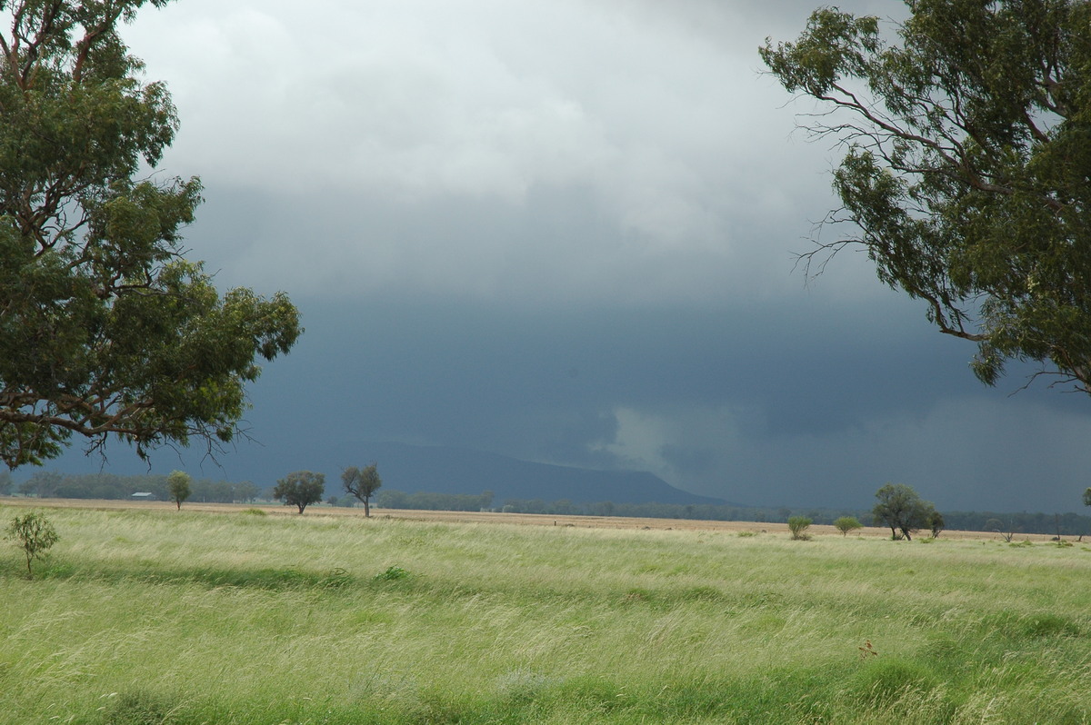 cumulonimbus thunderstorm_base : near Narrabri, NSW   27 December 2004