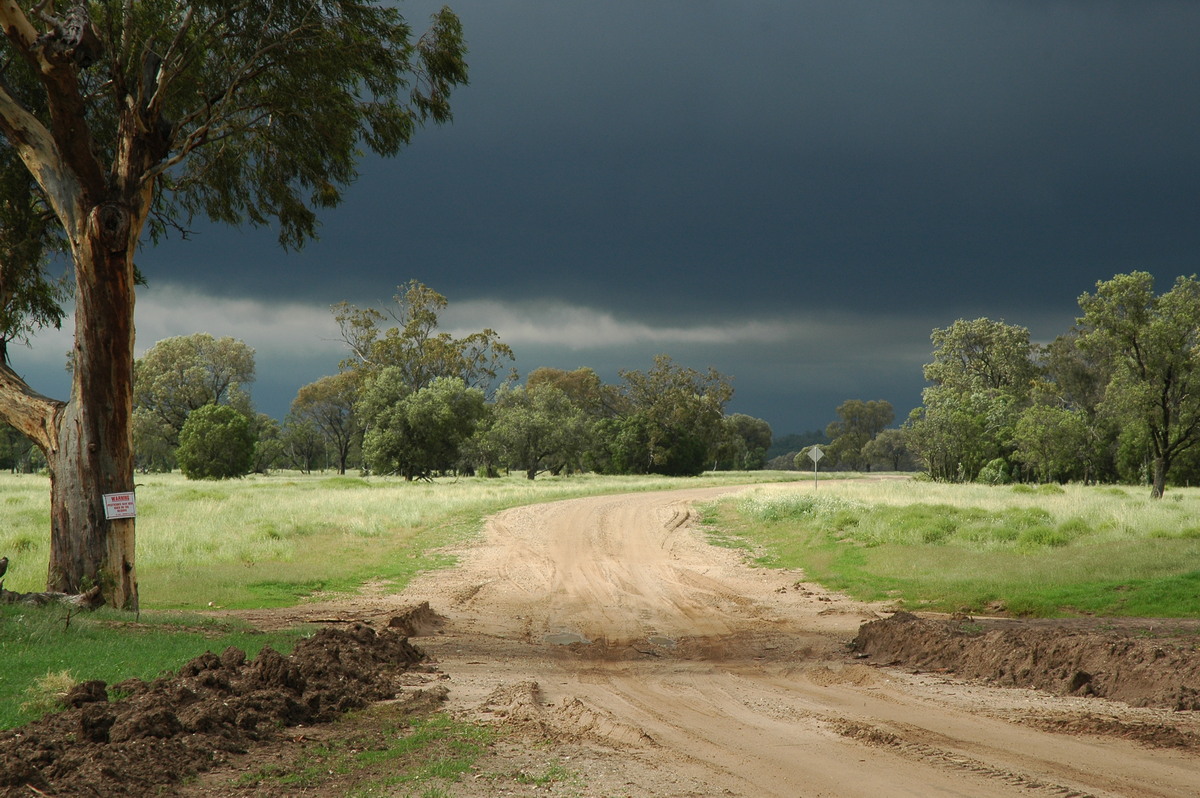 cumulonimbus thunderstorm_base : near Narrabri, NSW   27 December 2004