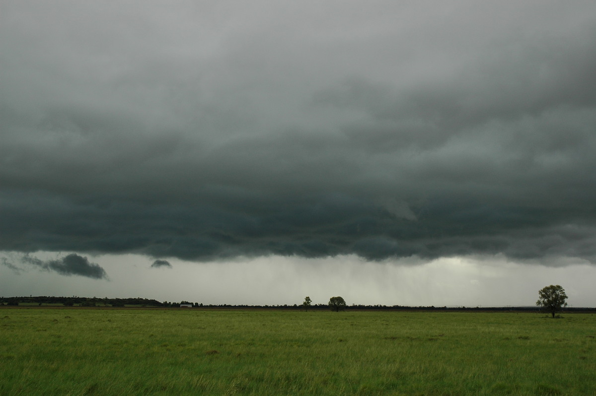 cumulonimbus thunderstorm_base : near Narrabri, NSW   27 December 2004