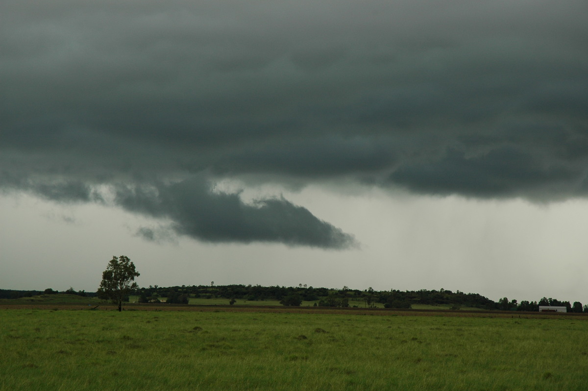 cumulonimbus thunderstorm_base : near Narrabri, NSW   27 December 2004