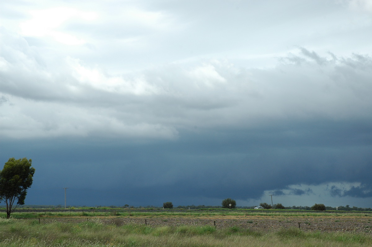 shelfcloud shelf_cloud : S of Moree, NSW   27 December 2004