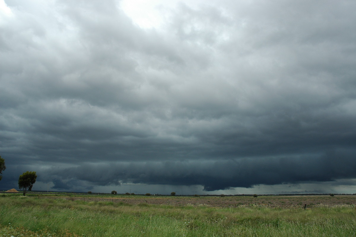 shelfcloud shelf_cloud : S of Moree, NSW   27 December 2004