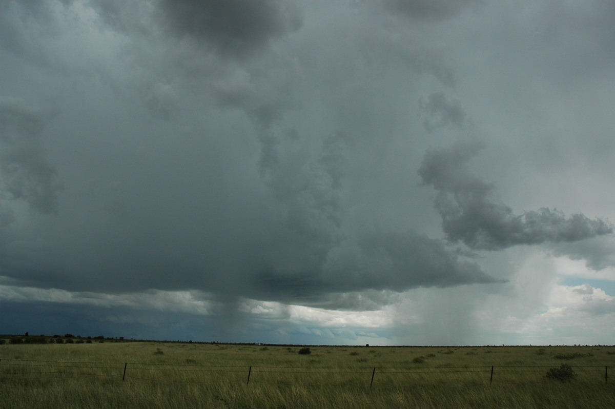 cumulonimbus thunderstorm_base : S of Moree, NSW   27 December 2004