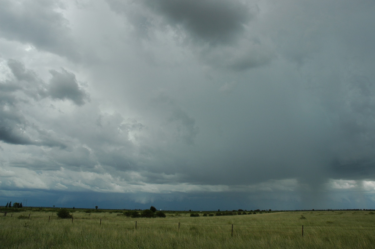 cumulonimbus thunderstorm_base : S of Moree, NSW   27 December 2004