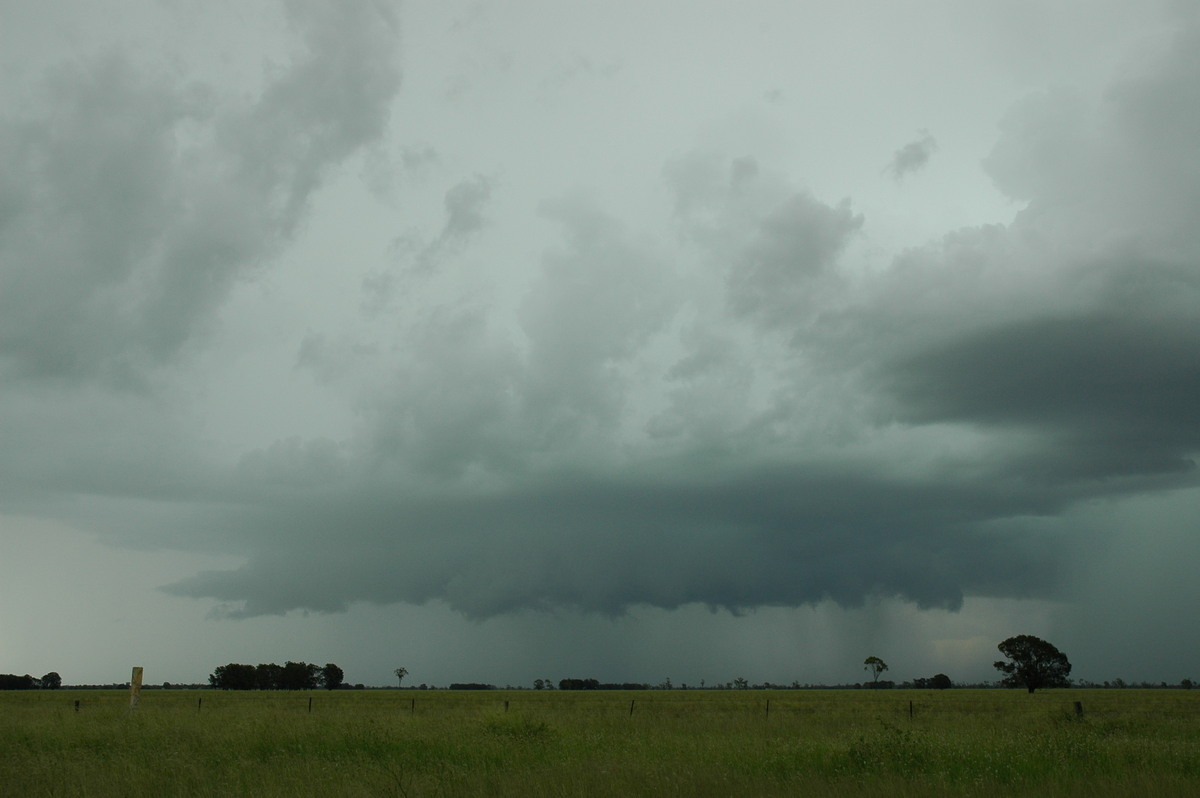 cumulonimbus thunderstorm_base : N of Moree, NSW   27 December 2004