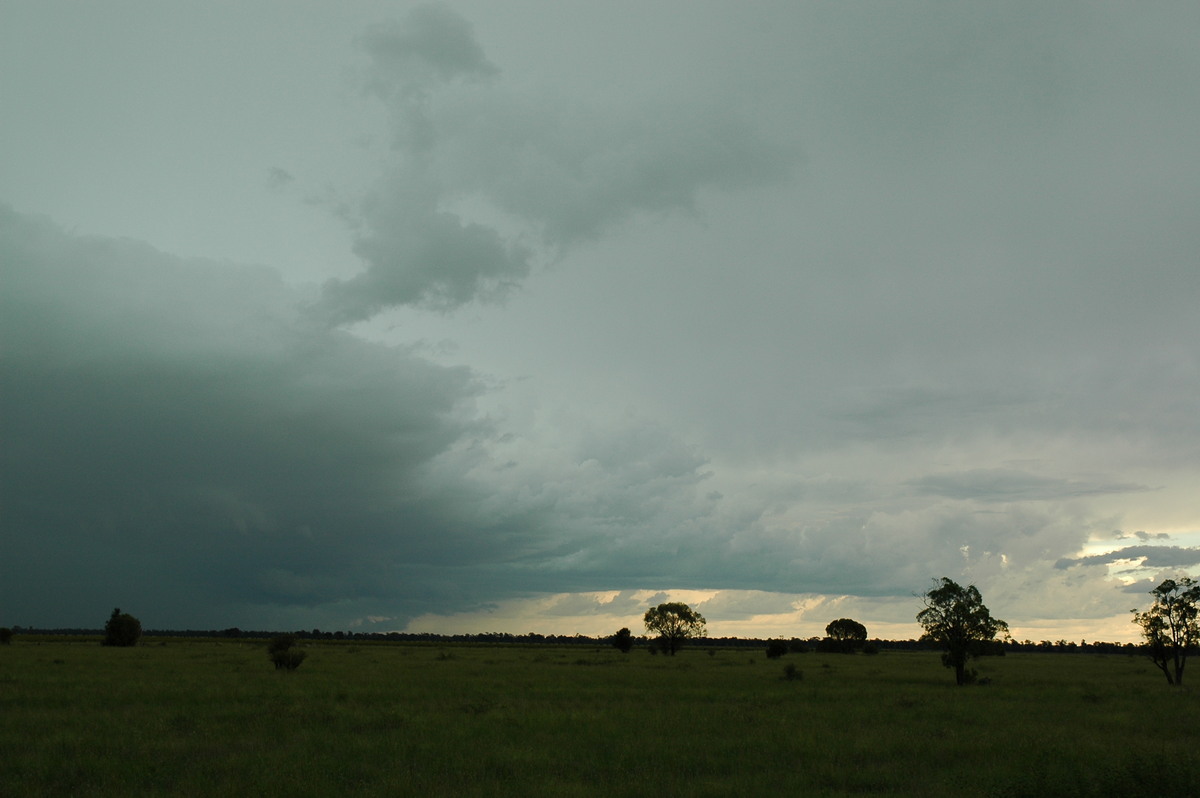 shelfcloud shelf_cloud : N of Moree, NSW   27 December 2004