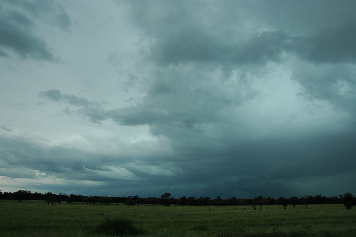 cumulonimbus thunderstorm_base : N of Moree, NSW   27 December 2004